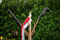Armes d'hast